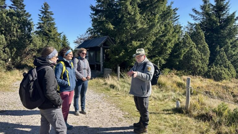 Raus aus dem Büro, rein in die Natur! 