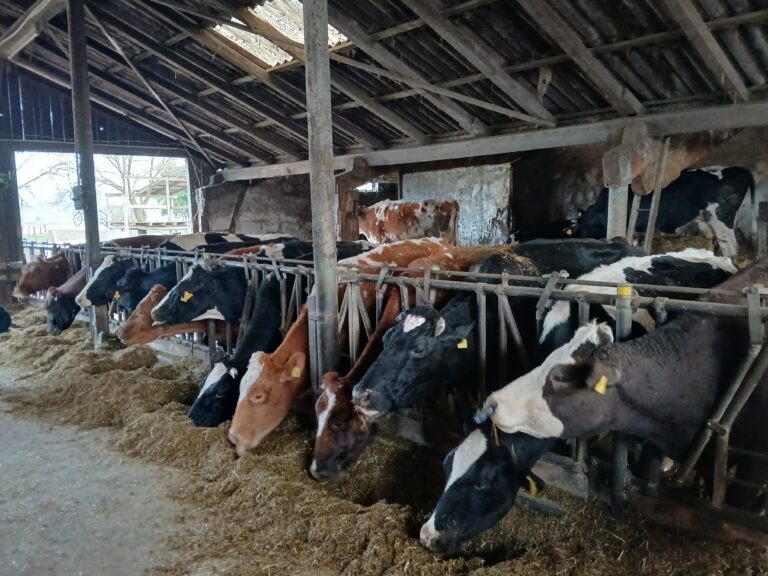 5 Jahre Bioregion Mittelbaden e.V.