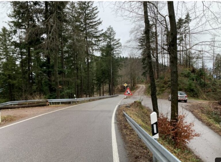Starke Investitionen für sichere Straßen im Wahlkreis Offenburg!