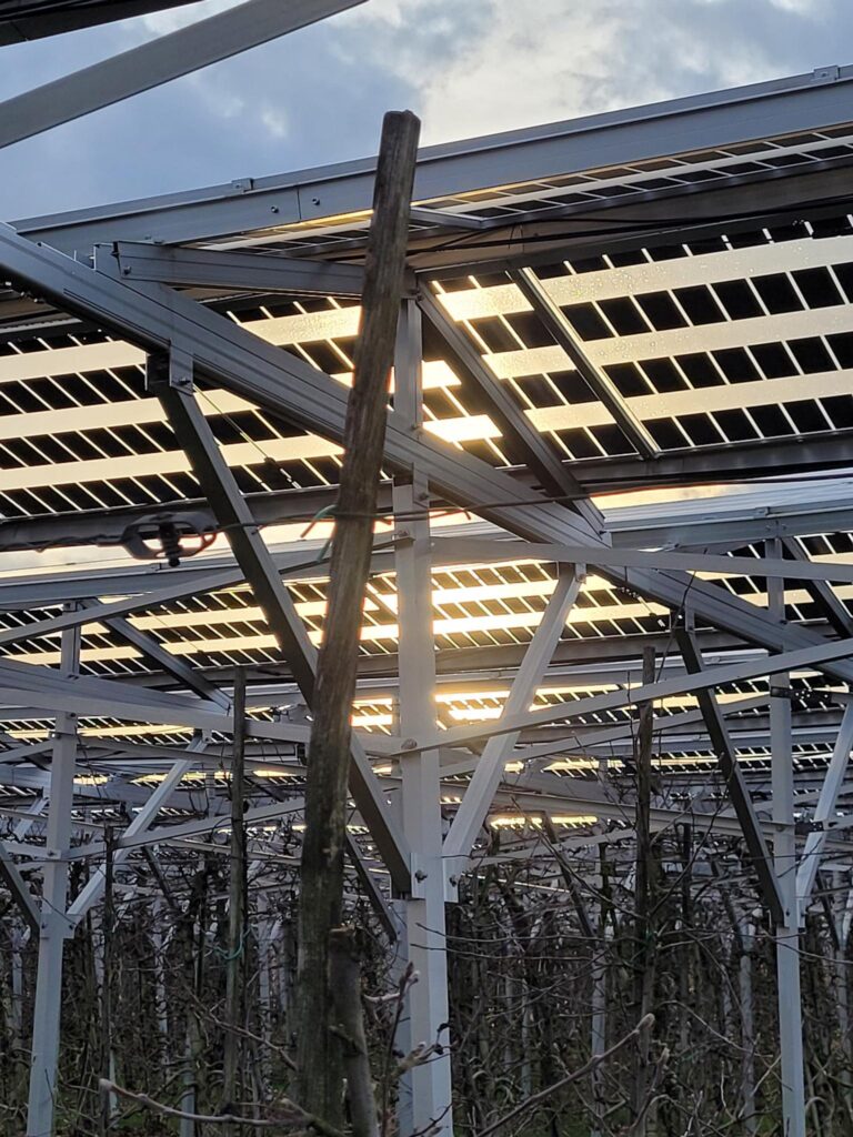 Förderung von großer Solaranlage in Hofweier