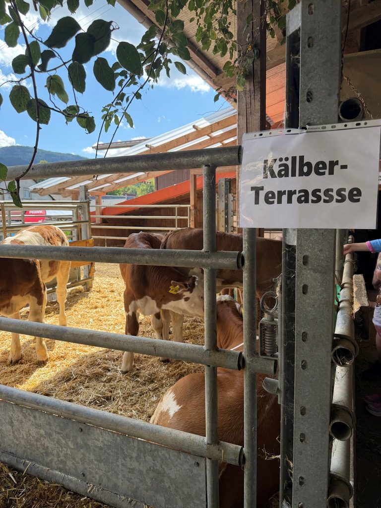 Besuch auf dem Kornbauernhof in Oberharmersbach: Klimaschutz ist Landwirtschaftsschutz